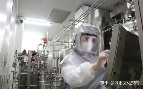揭秘我國四大新冠疫苗研發(fā)企業(yè),科研強 安全有效,堪稱國貨之光